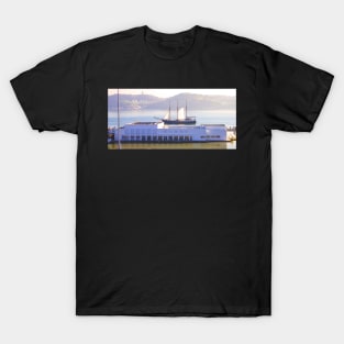 a boat on the roof...(almost) T-Shirt